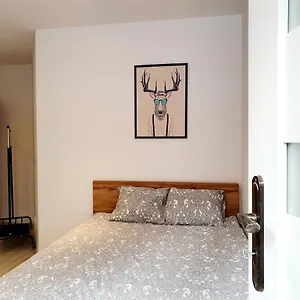 Rabbit , Sopot Polska